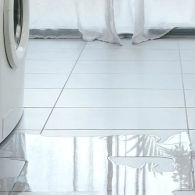 Appliance Leak Cleanup in Shenandoah, VA
