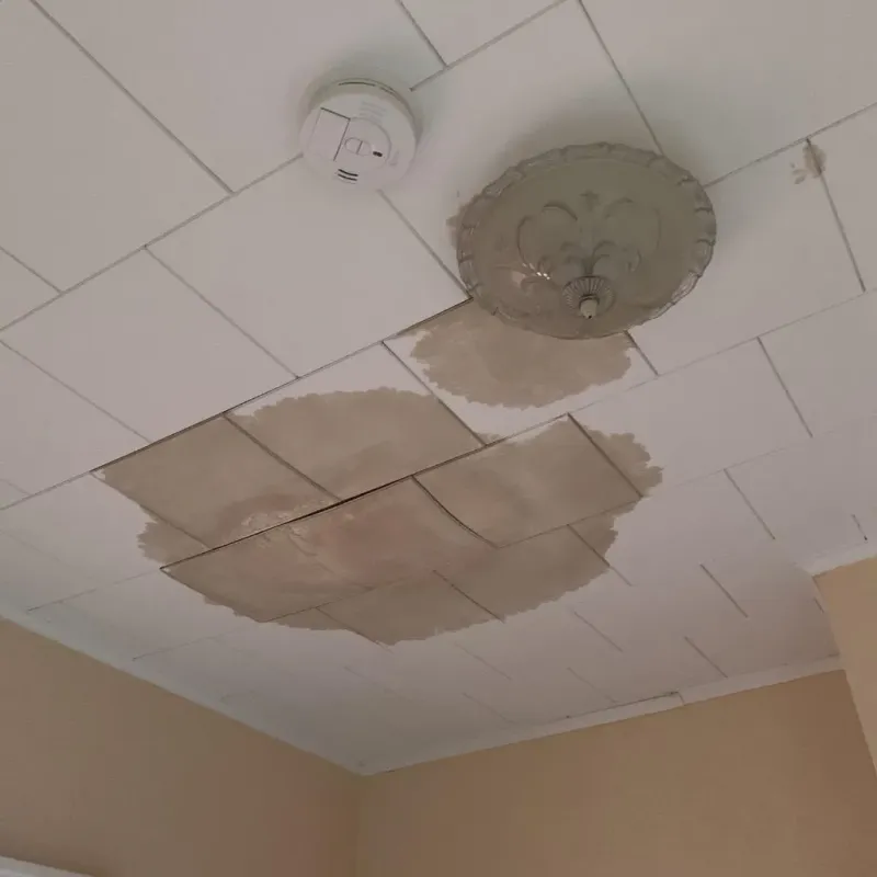 Ceiling Water Damage Repair in Shenandoah, VA