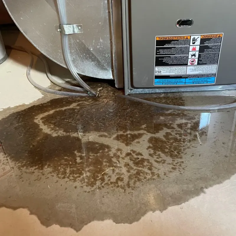 Pipe Burst and Leak Restoration in Shenandoah, VA